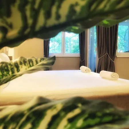 Pleasure 노비사드