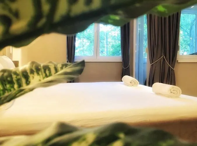 Pleasure نوفي ساد